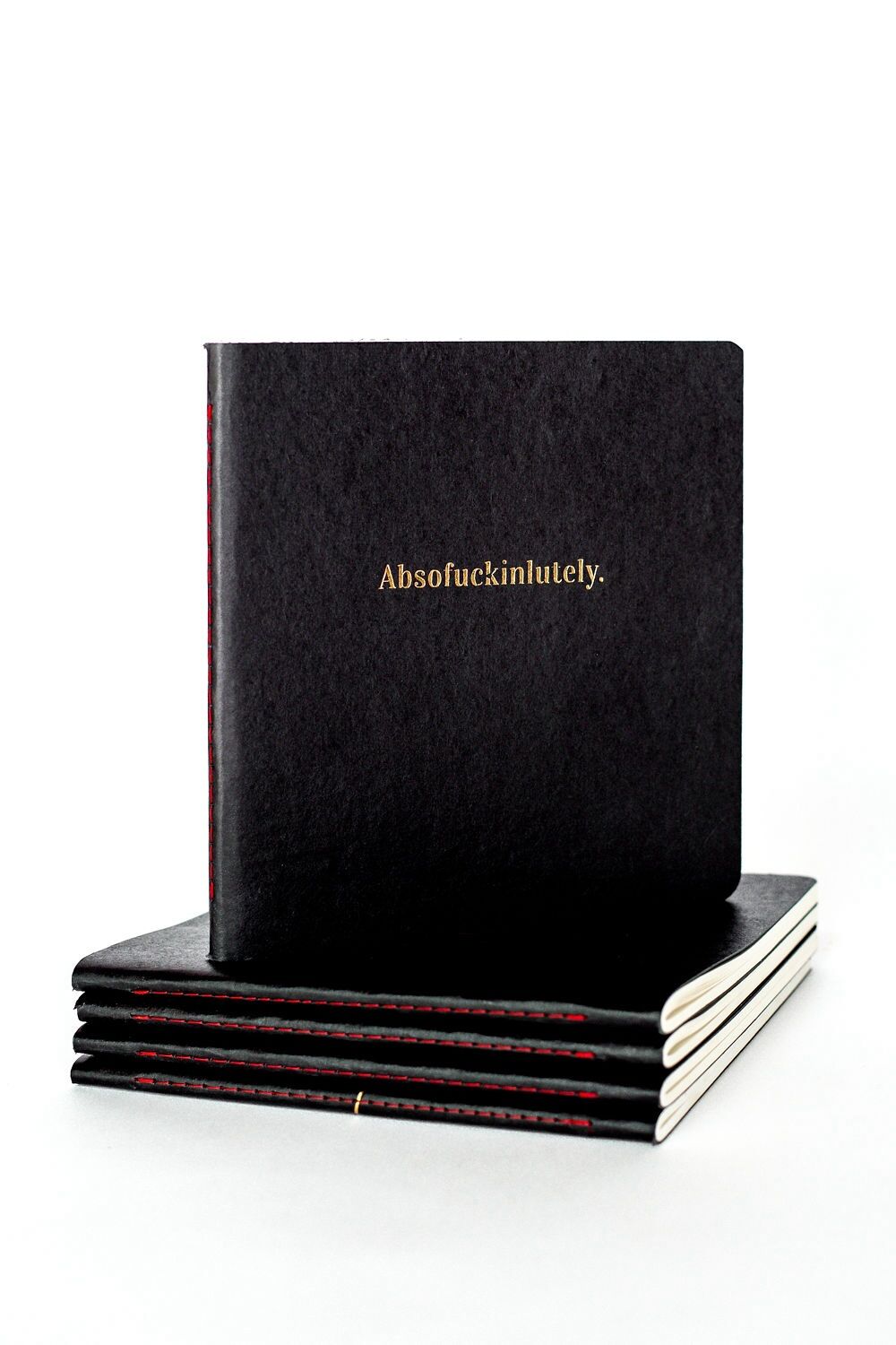 Absofuckinlutely Notebook