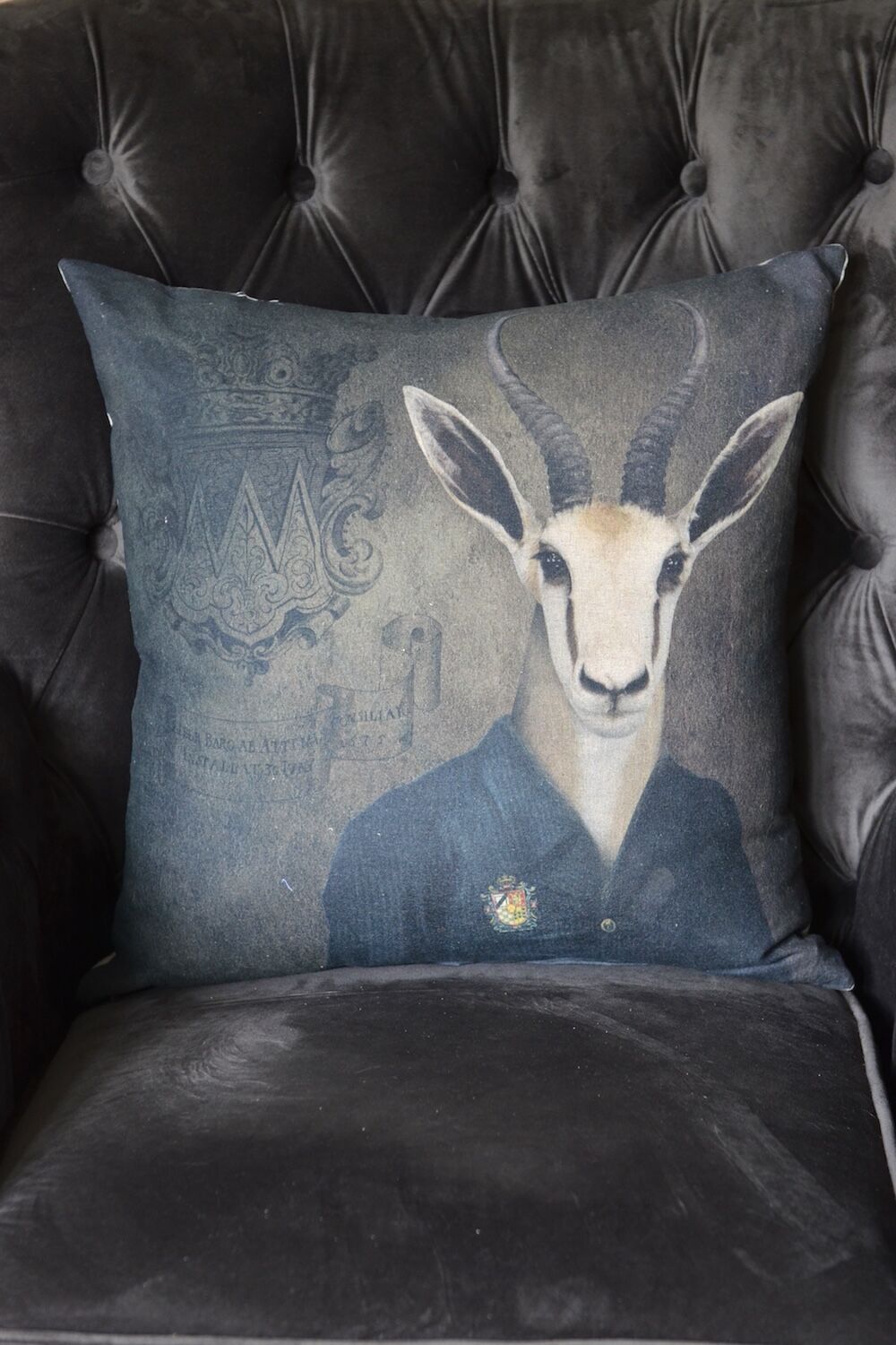 Springbok