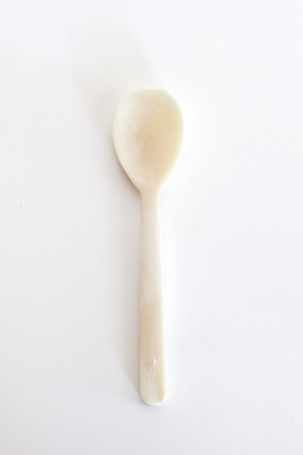 Bone Spoon